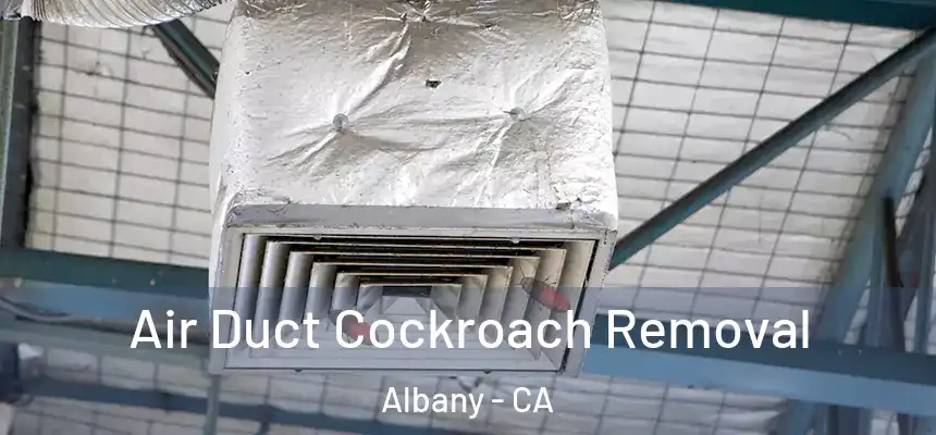 Air Duct Cockroach Removal Albany - CA