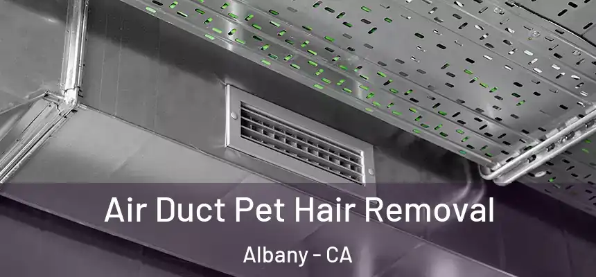  Air Duct Pet Hair Removal Albany - CA