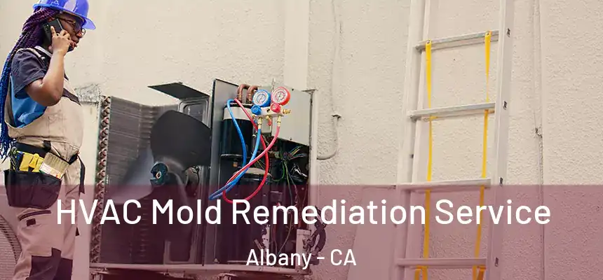 HVAC Mold Remediation Service Albany - CA