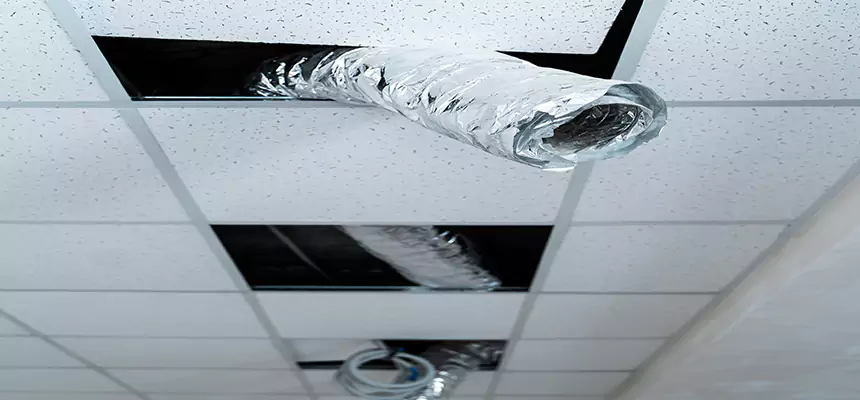 Our Air Duct Pet Hair Removal Services in Albany, CA