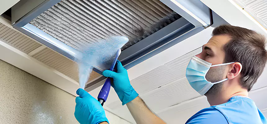 Proactive Dryer Vent & Auxiliary Duct Pollen Cleanup in Albany, CA