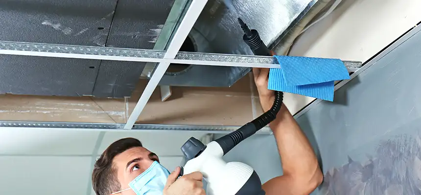 Our Air Duct Rodent Removal Services in Albany, CA