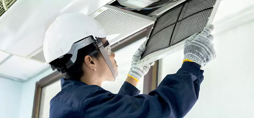 Our Mold & Mildew Removal from Air Ducts Services in Albany, CA