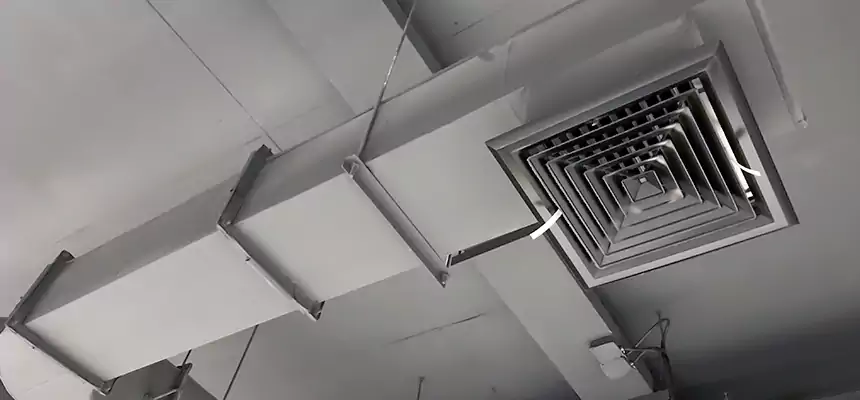 Our Pest Removal From Ducts Services in Albany, CA