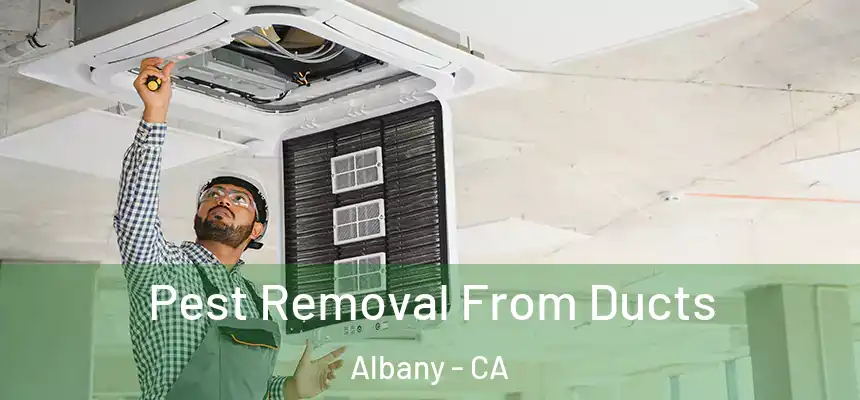 Pest Removal From Ducts Albany - CA