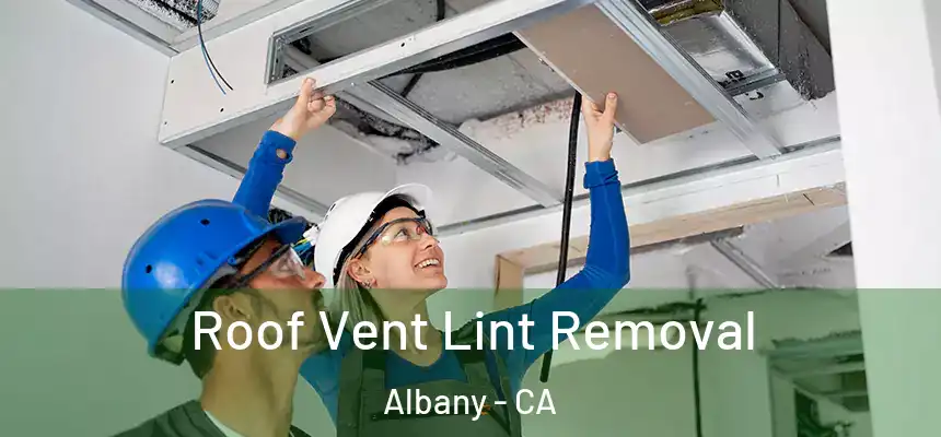Roof Vent Lint Removal Albany - CA