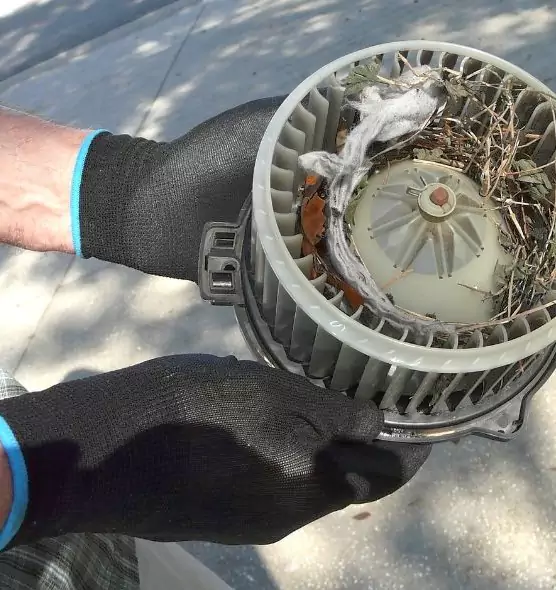 About Air Duct Rat Removal in Albany, CA