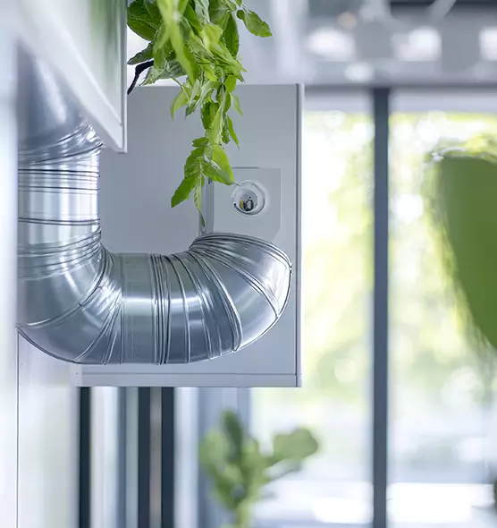 Professional Eco-Friendly Duct Cleaning Services in Albany, CA