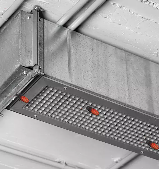 Affordable Insect Removal from Air Ducts in Albany, CA