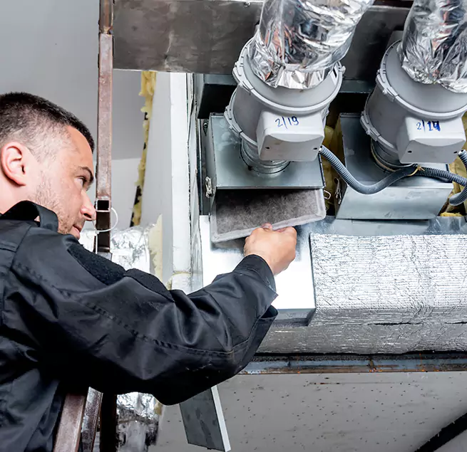 Why Homeowners & Businesses Trust Us in Albany, CA?