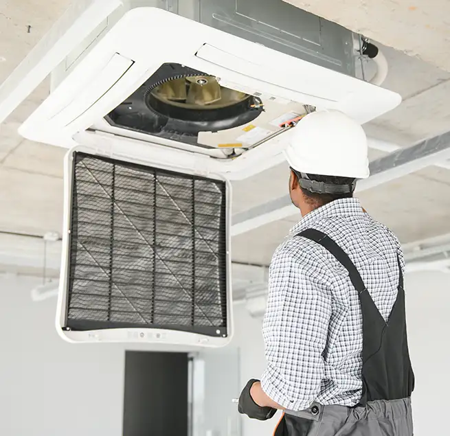 Why Homeowners & Businesses Trust Us in Albany, CA?