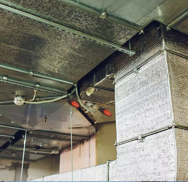 Why Homeowners & Businesses Trust Us in Albany, CA?