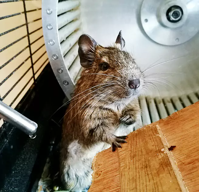 Why Homeowners & Businesses Trust Us Albany, CA