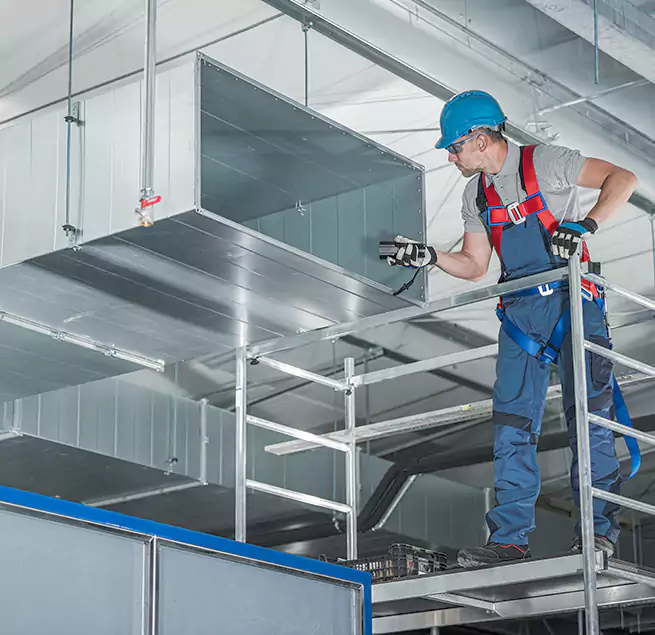 Why Homeowners & Businesses Trust Us in Albany, CA?