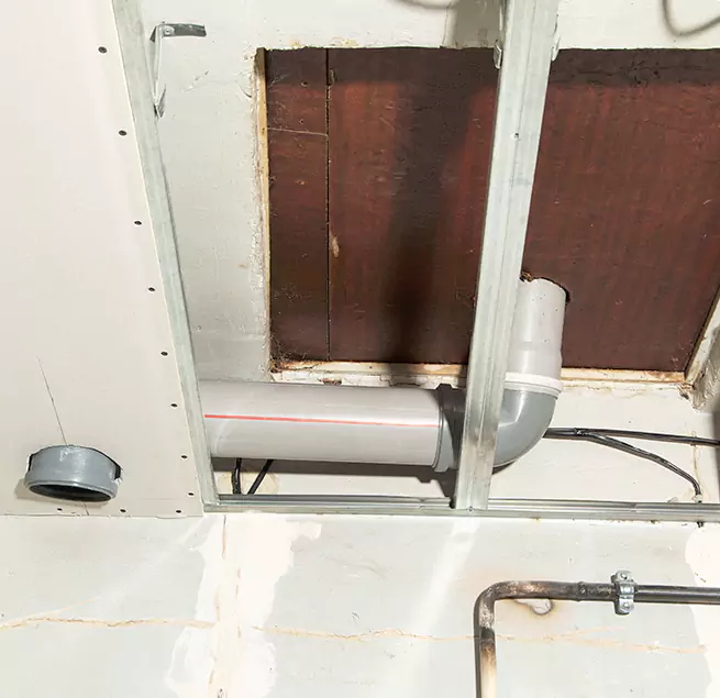 Why Homeowners & Businesses Trust Us in Albany, CA?