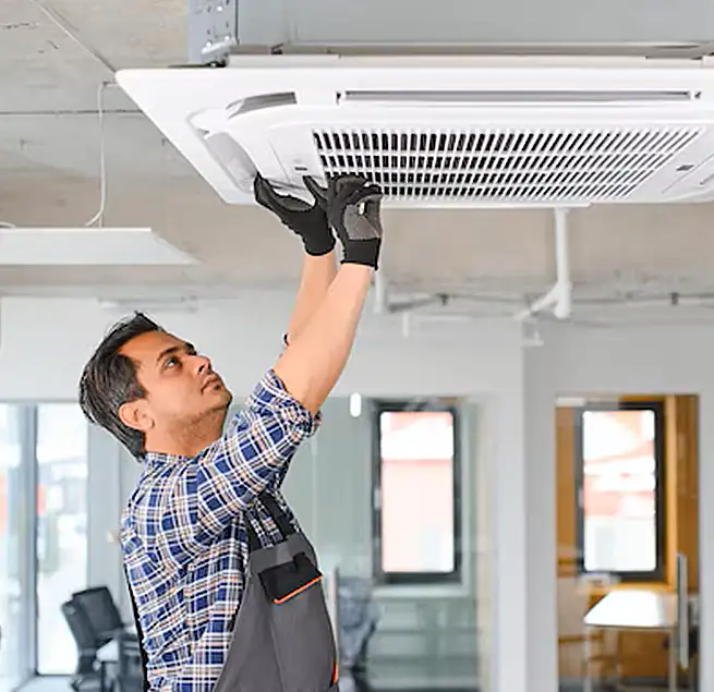 Why Homeowners & Businesses Trust Us in Albany, CA?