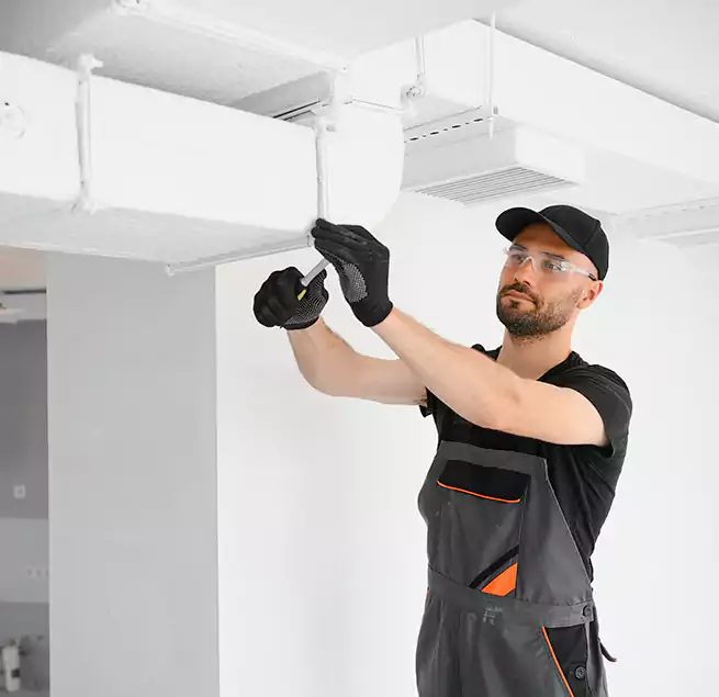 Why Homeowners & Businesses Trust Us in Albany, CA?