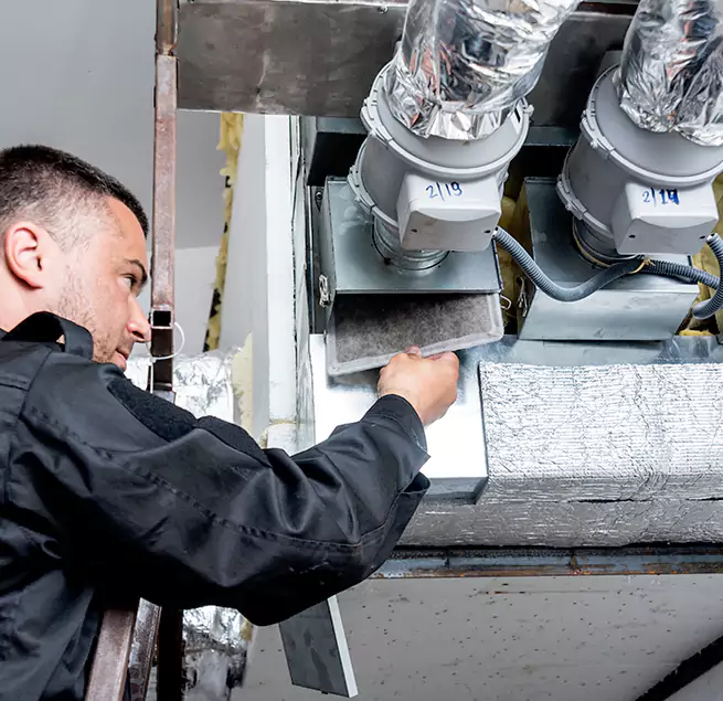 Why Homeowners & Businesses Trust Us in Albany, CA?