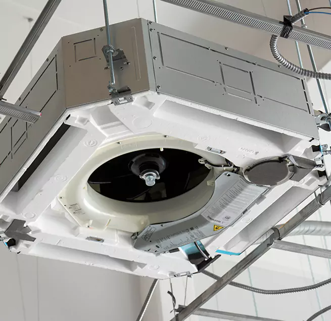 Why Homeowners & Businesses Trust Us in Albany, CA?