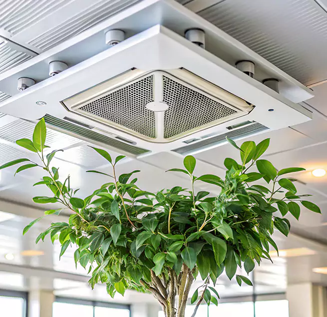 Why Homeowners & Businesses Trust Us in Albany, CA?