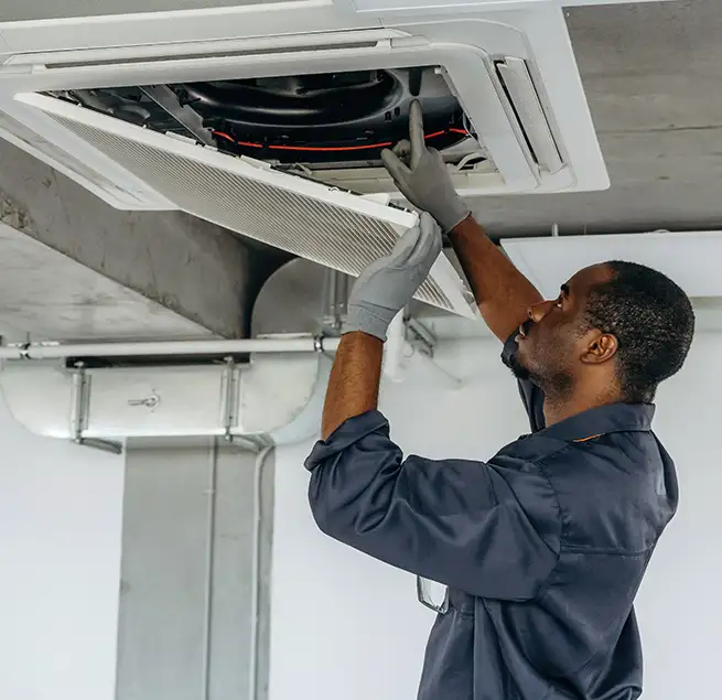 Why Homeowners & Businesses Trust Us in Albany, CA?