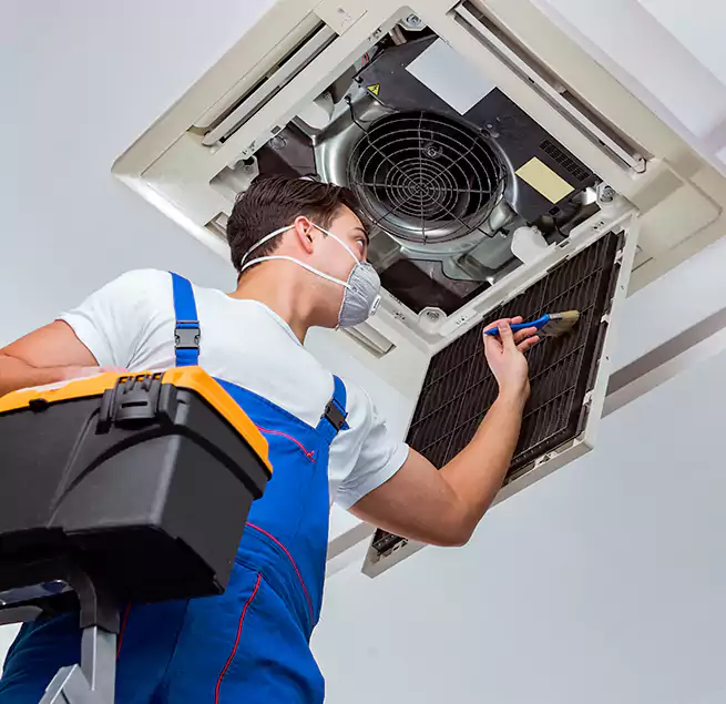 Why Homeowners & Businesses Trust Us in Albany, CA?