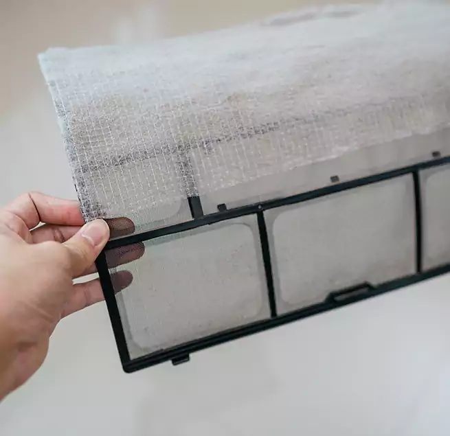 Why Homeowners & Businesses Trust Us in Albany, CA?