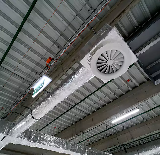 Why Homeowners & Businesses Trust Us in Albany, CA