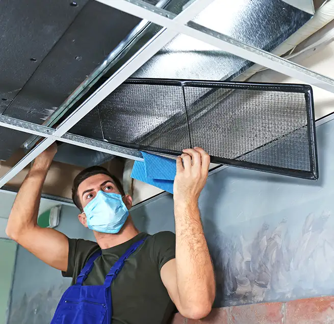 Why Homeowners & Businesses Trust Us in Albany, CA?