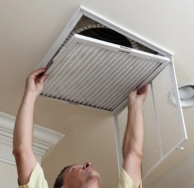 Why Homeowners & Businesses Trust Us in Albany, CA?