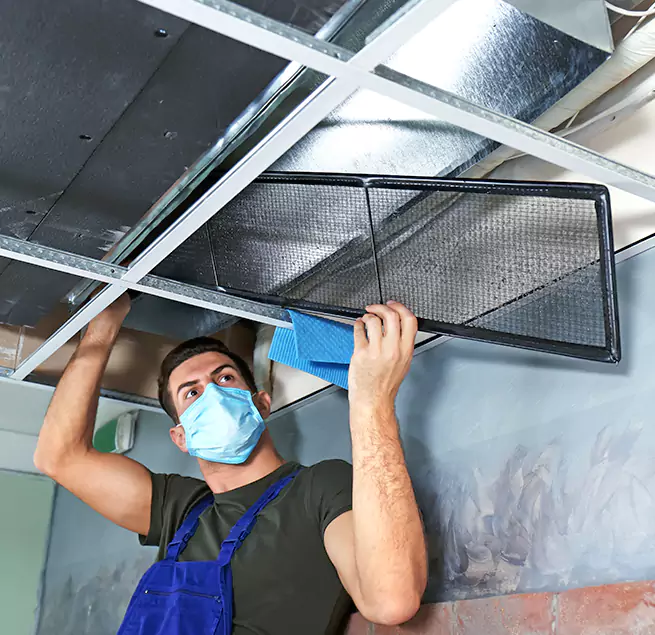 Why Homeowners & Businesses Trust Us in Albany, CA?