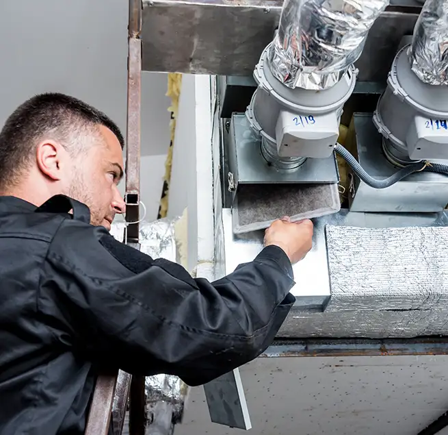 Why Homeowners & Businesses Trust Us in Albany, CA?